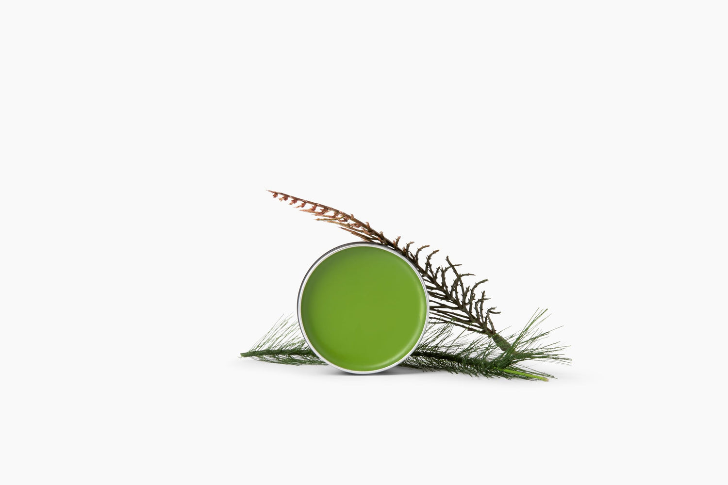 The Hairy Gnome- Wound Salve | Organic First Aid | Well, Youv'e Done Something Stupid Again | Plastic Free Company. Give a Sh$t About Nature.