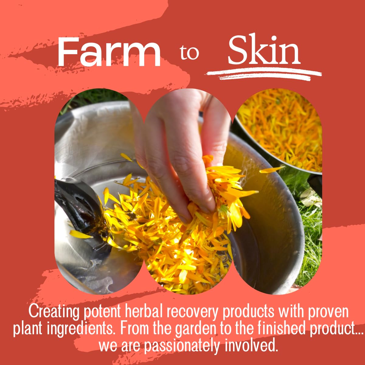 The Hairy Gnome- Big ASS Lip Balm. Repairs, Moisturizes and Softens Chapped Lips Using Plant Ingredients and No Plastic. Clean Company. Give a Sh*t About Nature.