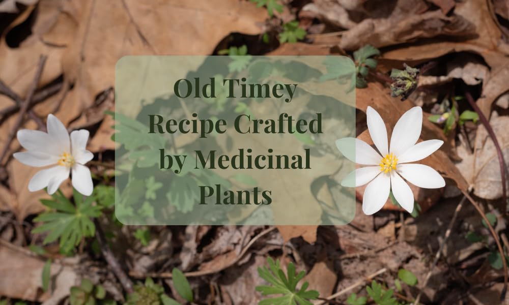 The Hairy Gnome- Big ASS Lip Balm. Repairs, Moisturizes and Softens Chapped Lips Using Plant Ingredients and No Plastic. Clean Company. Give a Sh*t About Nature.