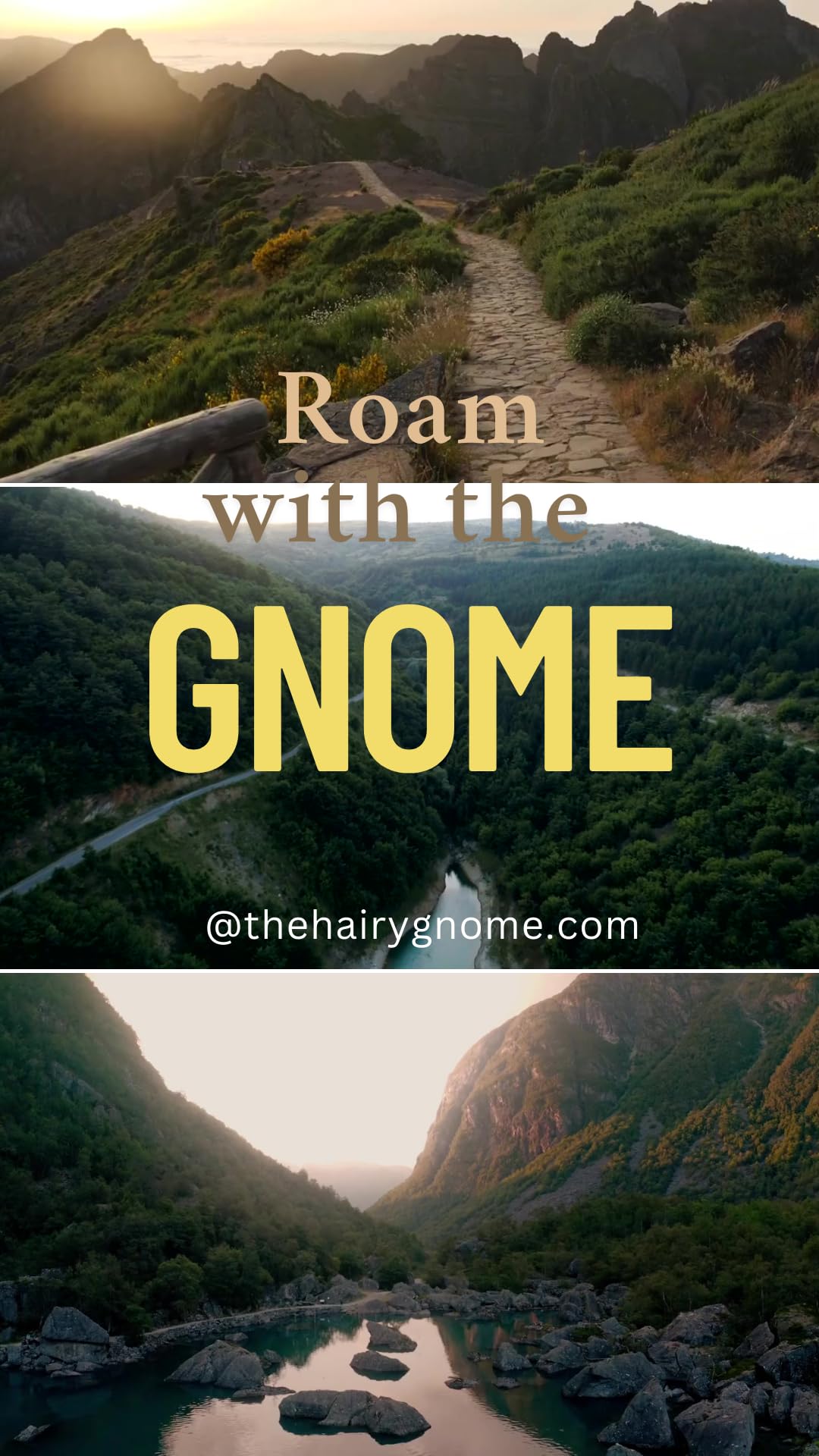 The Hairy Gnome- This Stuff Sucks... Poison Out...All Natural Old Timey Drawing Salve Recipe with Pine Resin and Plantain. 100% Natural and Organic. Treats Cysts | Splinters | Boils | Rashes.